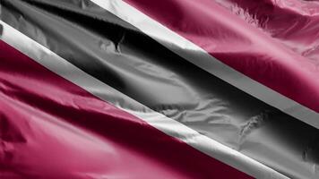 trinidad bandeira fundo realista acenando dentro a vento 4k vídeo, para independência dia ou hino perfeito ciclo video