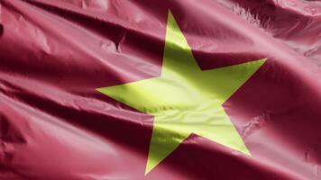 Vietnam flag background realistic waving in the wind 4K video, for Independence Day or Anthem Perfect Loop video