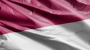 Indonésia bandeira fundo realista acenando dentro a vento 4k vídeo, para independência dia ou hino perfeito ciclo video