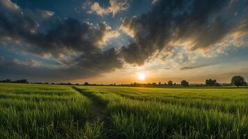 AI generated a sunset over a green field  with the sun shining through the clouds and the sun shining through the leaves,  wind moving green grass, panoramic view, summer scenery photo