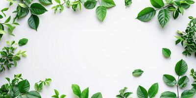 AI generated Frame made out of green plant leaves and vines on a white background with copy space. Greenery, nature, growth concept, graphic design resource element photo