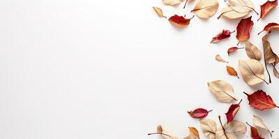 AI generated brown red and cream colored autumn leaves composition on a white background with copy space. Vivid Fall colors, design resource element photo