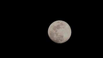 timelapse da lua, lapso de tempo de ações - ascensão da lua cheia no céu escuro da natureza, noite. lapso de tempo do disco da lua cheia com luz da lua no céu escuro à noite. imagens de vídeo gratuitas de alta qualidade ou timelapse video