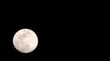 Moon Timelapse, Stock time lapse - Full moon rise in dark nature sky, night time. Full moon disk time lapse with moon light up in night dark black sky. High-quality free video footage or timelapse