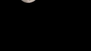 timelapse de la lune, laps de temps de stock - montée de la pleine lune dans le ciel sombre de la nature, la nuit. laps de temps de disque de pleine lune avec la lune s'allume dans le ciel noir de nuit. séquences vidéo gratuites de haute qualité ou timelapse video