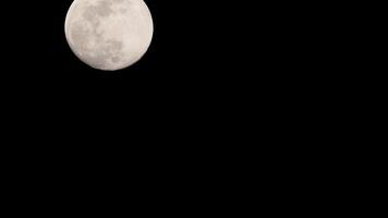 timelapse di luna, stock time lapse - luna piena sorge nel cielo di natura oscura, notte. lasso di tempo del disco di luna piena con la luna che si illumina nel cielo nero scuro di notte. riprese video o timelapse gratuiti di alta qualità