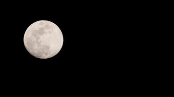 timelapse di luna, stock time lapse - luna piena sorge nel cielo di natura oscura, notte. lasso di tempo del disco di luna piena con la luna che si illumina nel cielo nero scuro di notte. riprese video o timelapse gratuiti di alta qualità