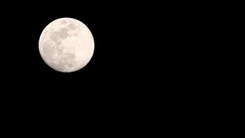 lapso de tiempo de la luna, lapso de tiempo de stock - subida de la luna llena en el cielo de la naturaleza oscura, la noche. Lapso de tiempo de disco de luna llena con luz de luna en el cielo negro oscuro de la noche. secuencias de video gratuitas de alta calidad o timelapse