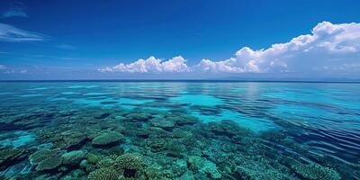 ai generado genial barrera arrecife en el costa de queensland, Australia marina. coral mar marina ecosistema fondo de pantalla con azul nublado cielo en el luz foto