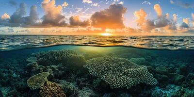 AI generated Great Barrier Reef on the coast of Queensland, Australia seascape. Coral marine ecosystem underwater split view, golden hour sunset evening sky wallpaper background photo