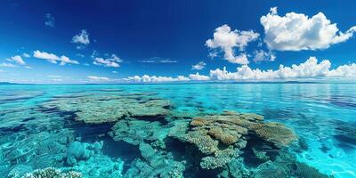 ai generado genial barrera arrecife en el costa de queensland, Australia marina. coral mar marina ecosistema fondo de pantalla con azul nublado cielo en el luz foto