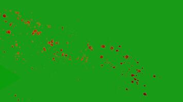 sangue schizzi verde schermo realistico sangue video