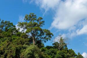 Green mountain with blue sky. photo