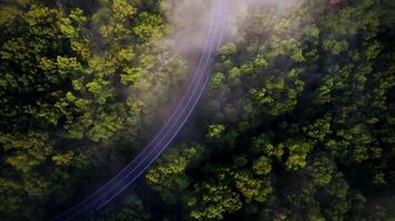 verde blanco vídeo céntrico viaje vídeo zumbido Disparo video