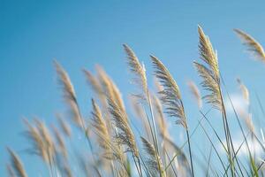 ai generado un manojo de alto césped soplo en el viento foto