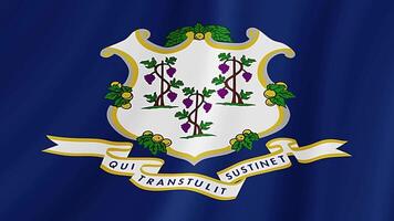 Connecticut Estado acenando bandeira. realista bandeira animação. video
