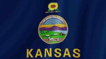 Kansas Estado acenando bandeira. realista bandeira animação. video