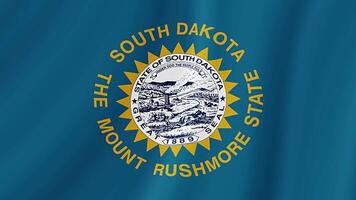 South Dakota State Waving Flag. Realistic Flag Animation. video