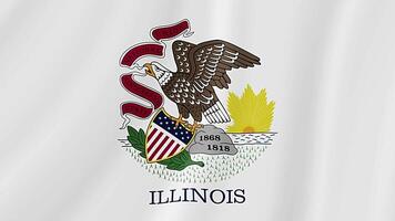 Illinois State Waving Flag. Realistic Flag Animation. video