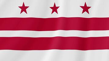 District of Columbia State Waving Flag. Realistic Flag Animation. video