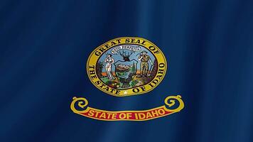 Idaho staat golvend vlag. realistisch vlag animatie. video