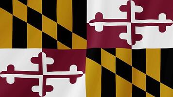 Maryland Zustand winken Flagge. realistisch Flagge Animation. video