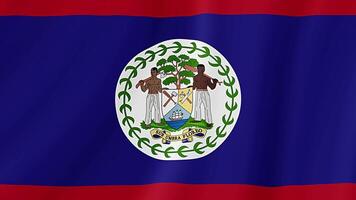 belize winken Flagge. realistisch Flagge Animation. nahtlos Schleife Hintergrund video