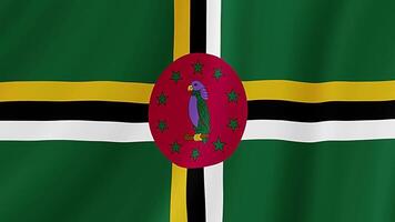 Dominica winken Flagge. realistisch Flagge Animation. nahtlos Schleife Hintergrund video