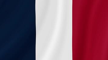French Guiana Waving Flag. Realistic Flag Animation. Seamless Loop Background video