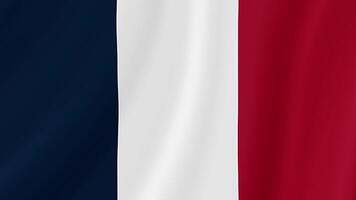 French Guiana Waving Flag. Realistic Flag Animation. Seamless Loop Background video