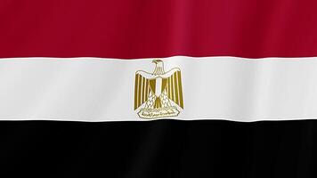 Egypte golvend vlag. realistisch vlag animatie. naadloos lus achtergrond video