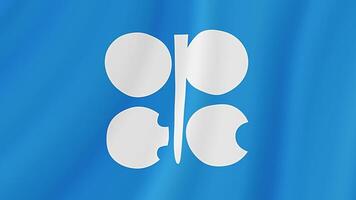 Organization of the Petroleum Exporting Countries Waving Flag. Realistic Flag Animation. Seamless Loop Background video