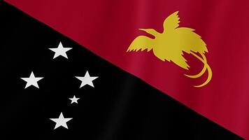 Papua Neu Guinea winken Flagge. realistisch Flagge Animation. nahtlos Schleife Hintergrund video