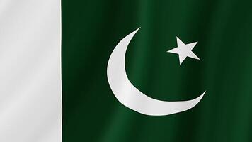 Pakistan winken Flagge. realistisch Flagge Animation. nahtlos Schleife Hintergrund video