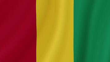 Guinea golvend vlag. realistisch vlag animatie. naadloos lus achtergrond video