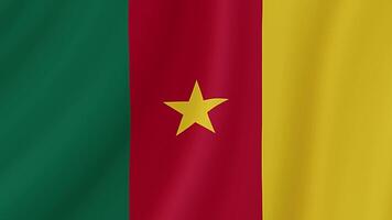 Cameroon Waving Flag. Realistic Flag Animation. Seamless Loop Background video