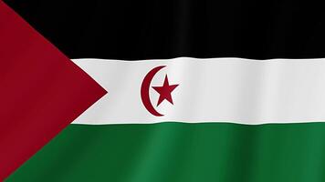sahrawi arab demokratisk republik vinka flagga. realistisk flagga animation. sömlös slinga bakgrund video