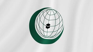 Organization of Islamic Cooperation Waving Flag. Realistic Flag Animation. Seamless Loop Background video