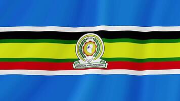 East African Community Waving Flag. Realistic Flag Animation. Seamless Loop Background video