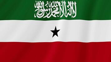 Somalilândia acenando bandeira. realista bandeira animação. desatado ciclo fundo video