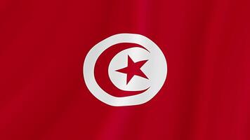 Tunisia Waving Flag. Realistic Flag Animation. Seamless Loop Background video
