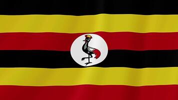 Uganda Waving Flag. Realistic Flag Animation. Seamless Loop Background video