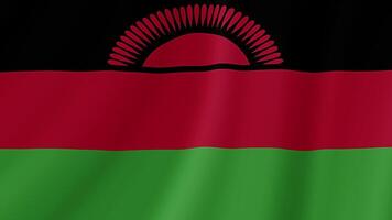 Malawi winken Flagge. realistisch Flagge Animation. nahtlos Schleife Hintergrund video