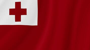 Tonga Waving Flag. Realistic Flag Animation. Seamless Loop Background video