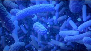 resistencia a antibacteriano agentes, crecimiento de bacterias en el intestinos video