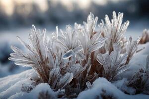 ai generado invierno paisaje con escarchado hielo flores, nieve, y cristales foto