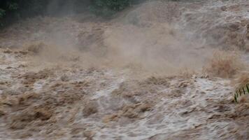 cascata cataratta nel foresta montagne. sporco flussi siamo fluente giù il montagna versante di il montagna foresta dopo pesante piove nel Tailandia. fiume alluvione, selettivo messa a fuoco. video