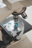 biochemical research scientist team working with microscope for coronavirus vaccine development in pharmaceutical research labolatory, selective focus photo