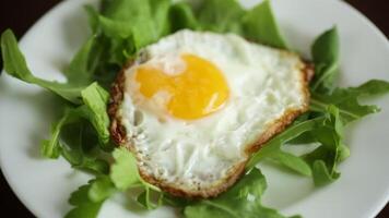 ett friterad ägg med arugula och sallad i en tallrik på en trä- tabell video