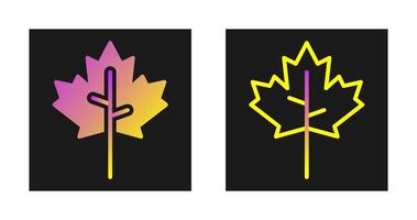 Maple leaf Vector Icon